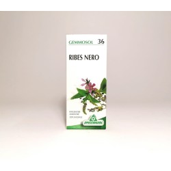 Specchiasol -  GEMMOSOL 36 - Ribes Nero - 50ml Scadenza 05/2024