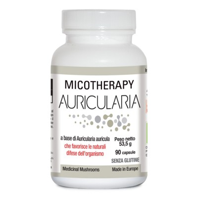 AVD MICOTHERAPY AURICULARIA 90 capsule